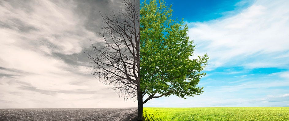 The Art of Living and the Art of Dying - BahaiTeachings.org