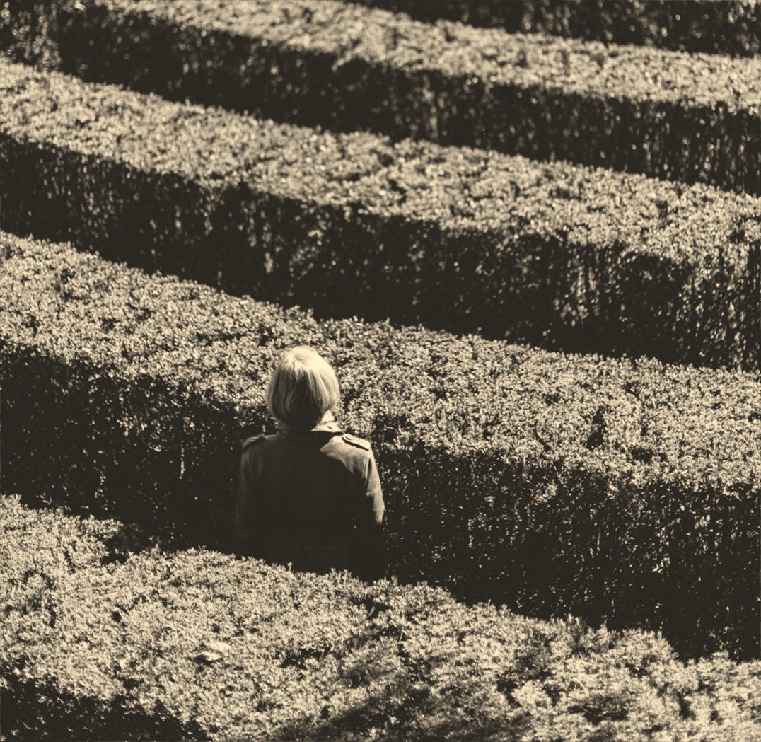 grayscale photo of person inside the plant formation grayscale photo of person inside the plant formation