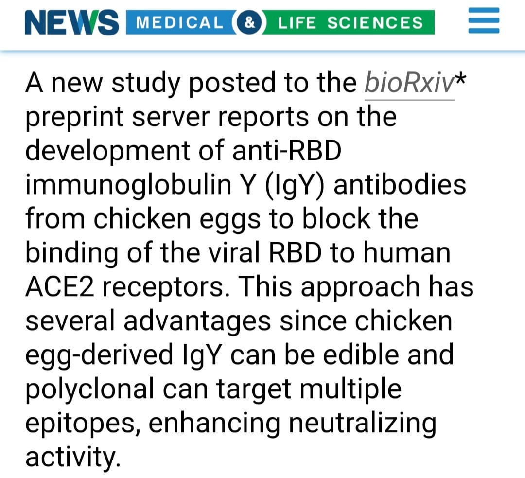 May be an image of text that says 'NEWS MEDICAL & LIFE SCIENCES A new study posted to the bioRxiv* preprint server reports on the the development of anti-RBD immunoglobulin Y (gY) antibodies from chicken eggs to block the binding of the viral RBD to human ACE2 receptors. This approach has several advantages since chicken egg-derived lgY can be edible and polyclonal can target multiple epitopes, enhancing neutralizing activity.'