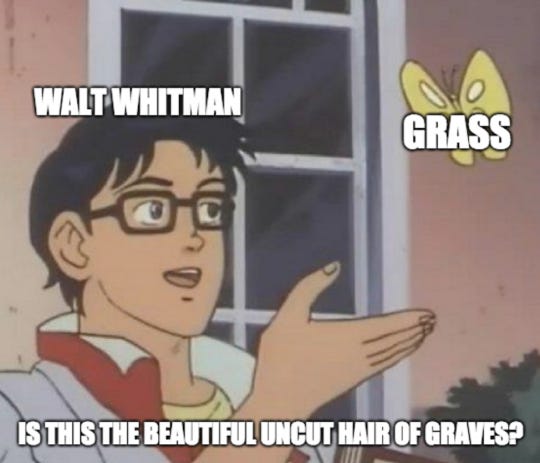 Walt Whitman sees grass and asks, "Is this the beautiful uncut hair of graves?" Because of course he did