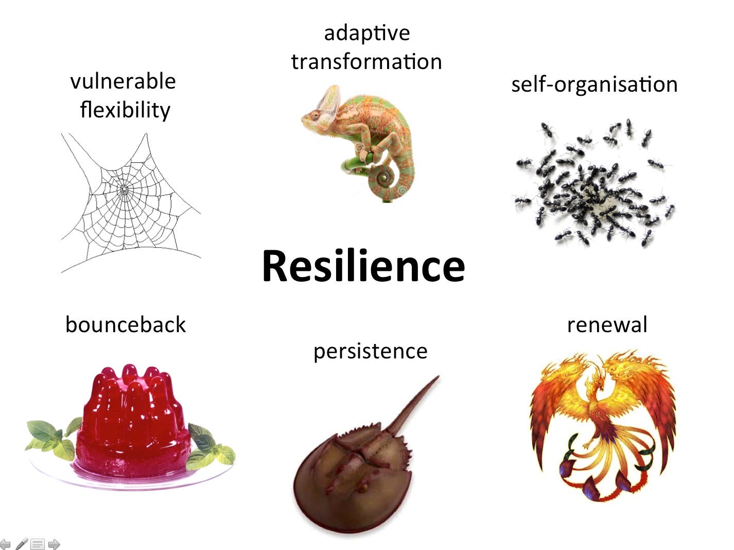 What is resilience? 6 icons tell the story. | Kate Raworth