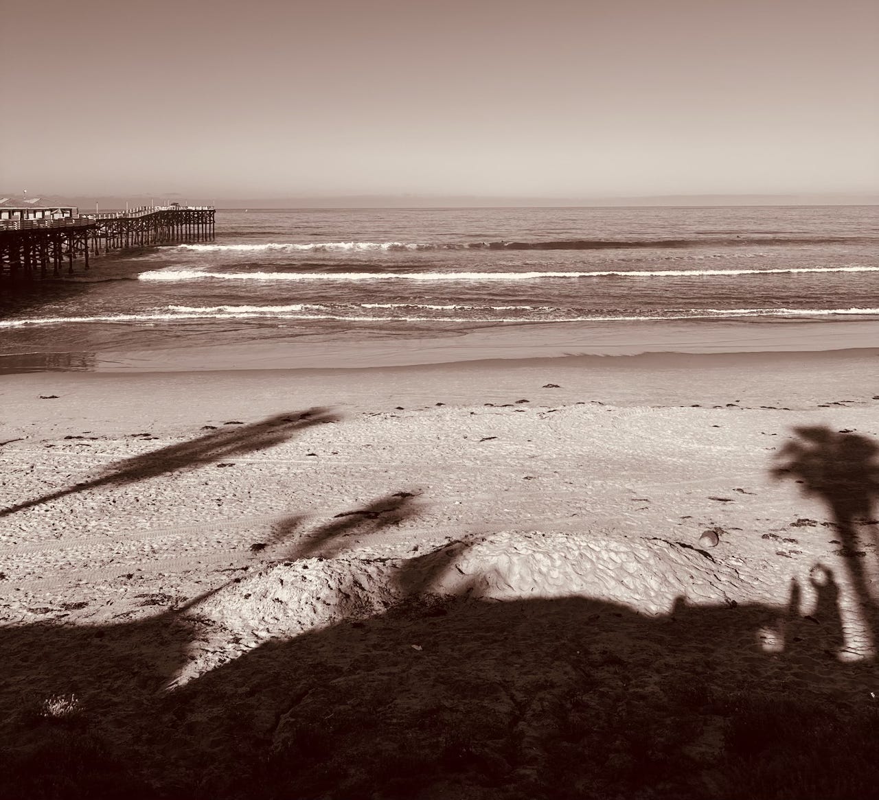 Shadows of palm trees on the sand, the Pacific Beach pier to the left, the Pacific Ocean in the middle distance