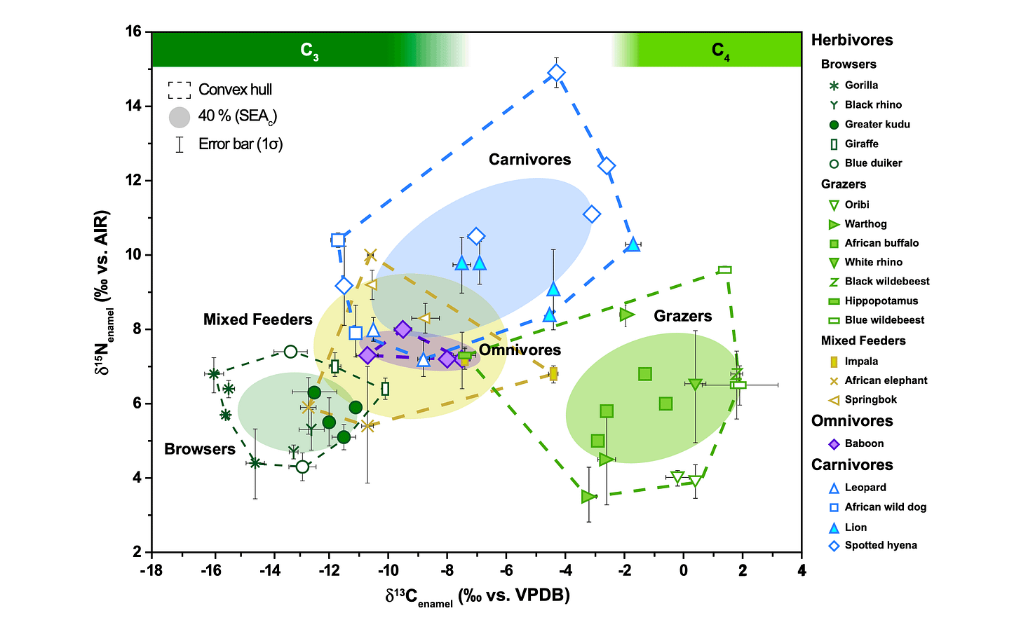 A scatterplot showing grazers with high carbon-13 and low nitrogen-15, carnivores with high nitrogen-15 and intermediate carbon-13, and browsers with low carbon-13 and low nitrogen-15. A scatterplot showing grazers with high carbon-13 and low nitrogen-15, carnivores with high nitrogen-15 and intermediate carbon-13, and browsers with low carbon-13 and low nitrogen-15.