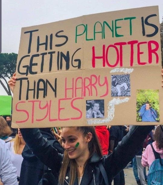 climate strike 1D | Harry styles memes, Concert signs, Harry styles poster
