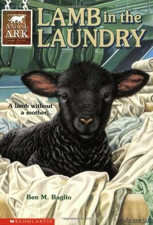 lamb in the laundry by ben baglio cover, black lamb looking out from pile of white sheets