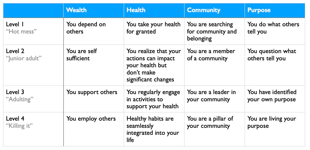 A table showing different ladder levels with the dimensions of wealth, health, community, and purpose.
