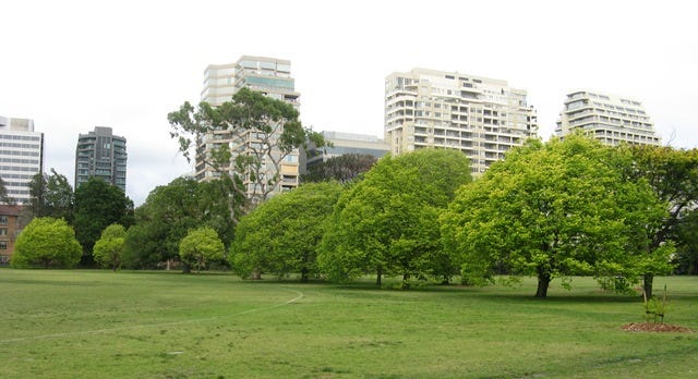 IMG_0663 IMG_0663