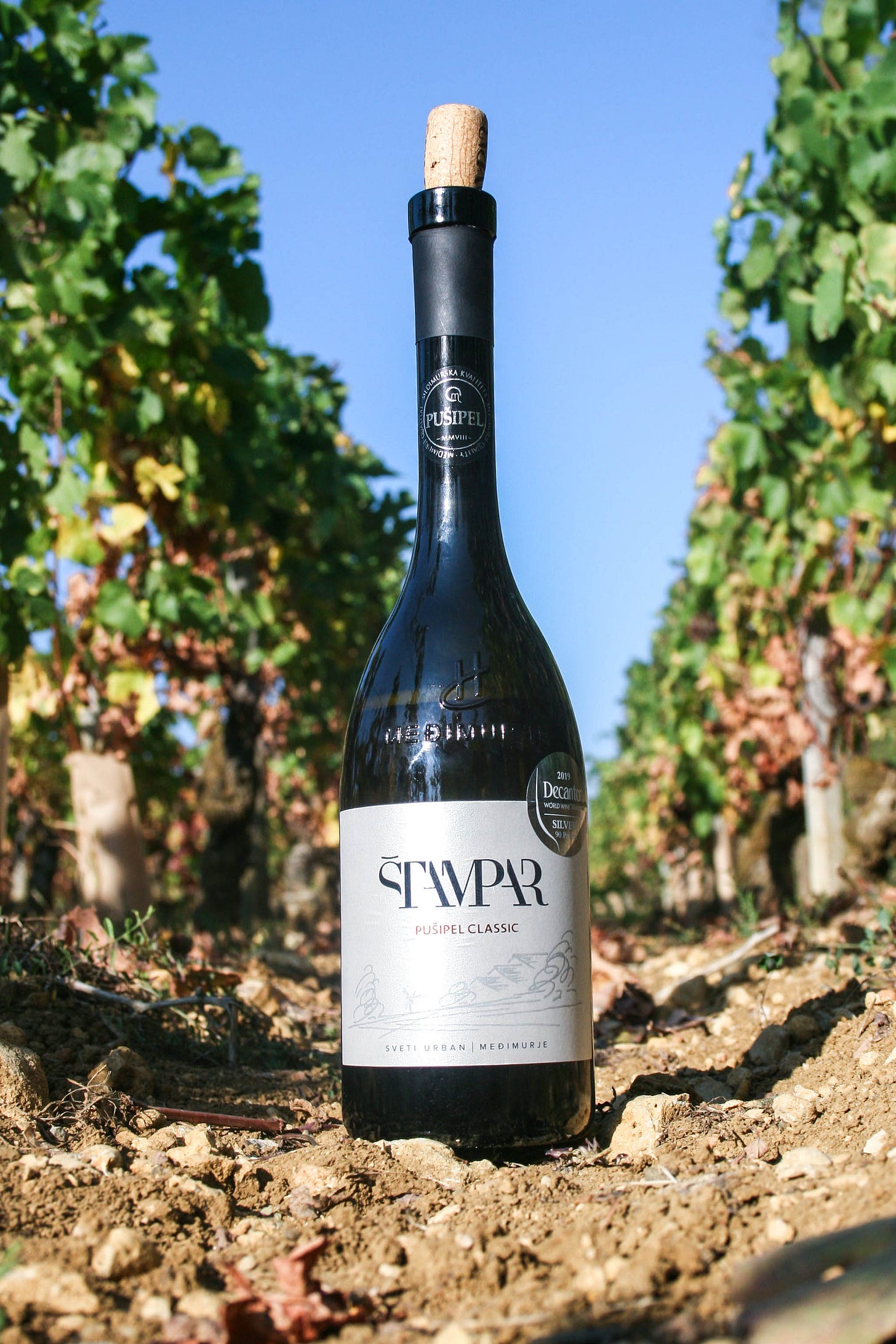 Pušipel Croatian white wine