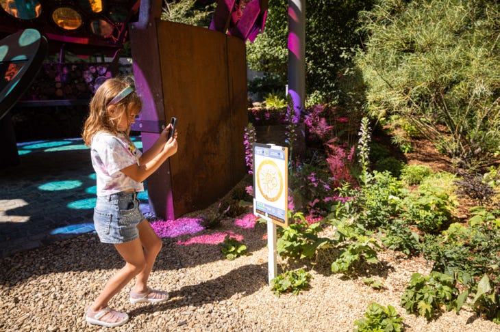 A young girl on a bug hunt