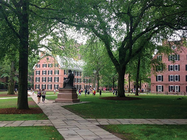 No first-years for Old Campus | Light & Verity | Yale Alumni Magazine