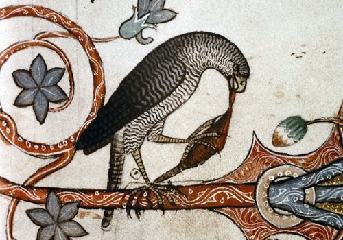 Medieval | Medieval art, Medieval, Animal art