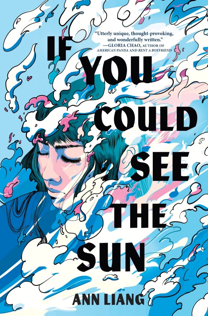 if you could see the sun by ann liang