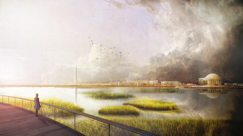 ideas lab unveils proposals to save washington DC's sinking tidal basin