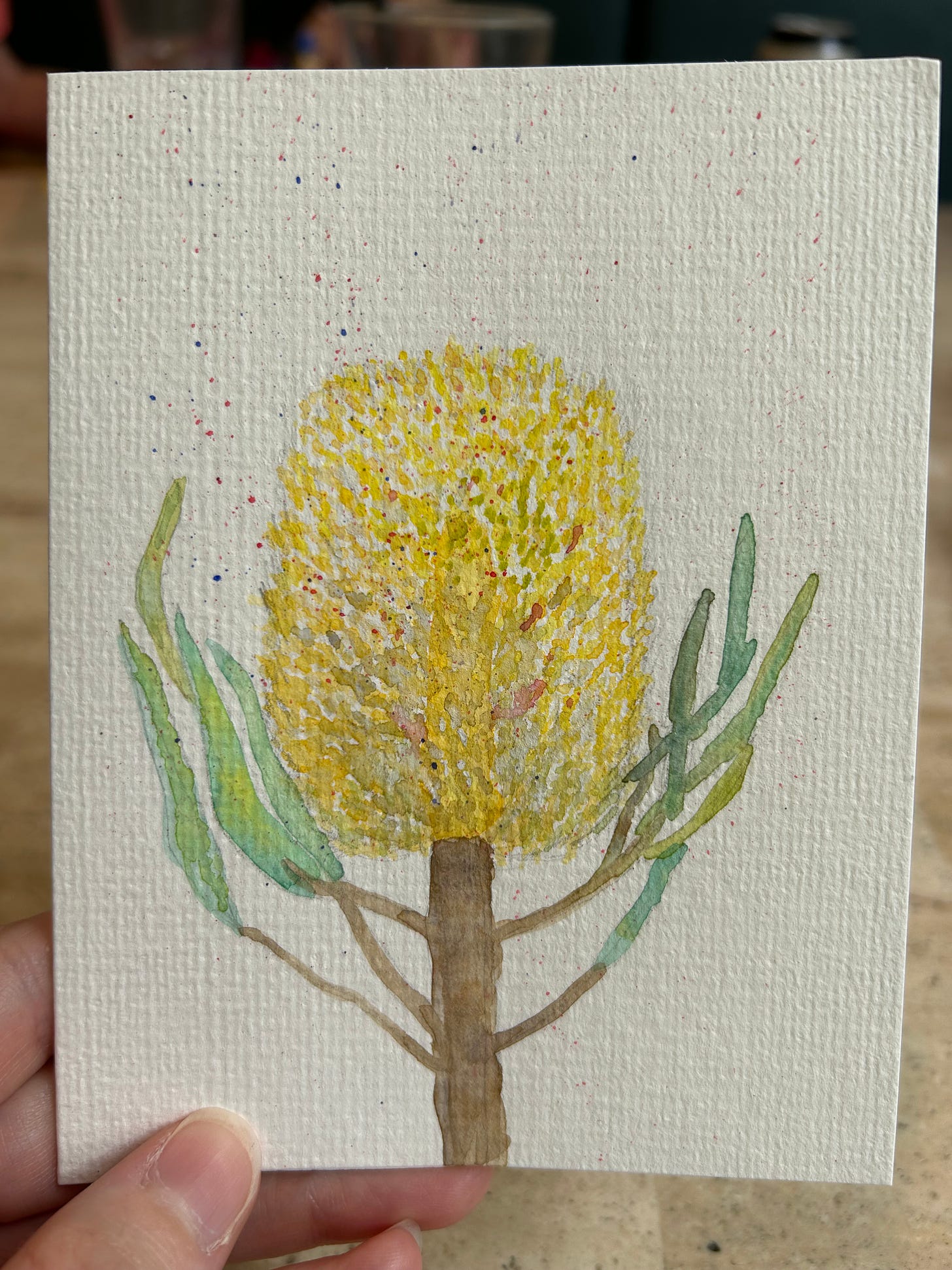 Yellow banksia painted in watercolour on a card