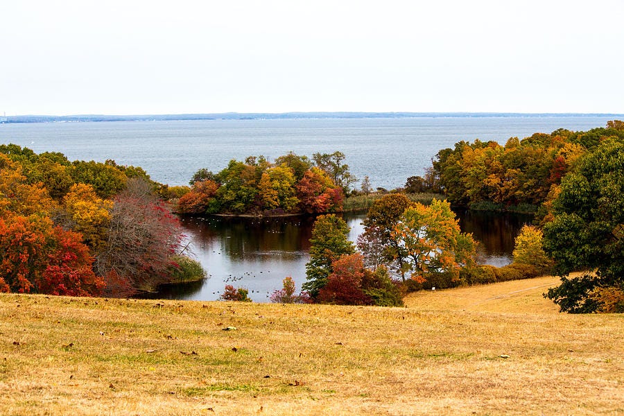 Fall foliage at Caumsett State Historic Park Preserve Photograph by Susan  Jensen - Fine Art America
