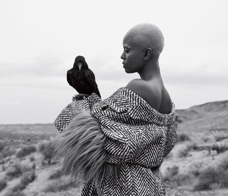 Kelela with a raven. Credit: Dazed