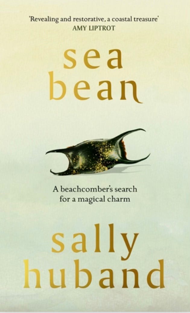 Book cover of Sea Bean: a beachcombers search for a magical charm, by Sally Huband. A pale background with gold text and an image of a mermaid purse in the centre.