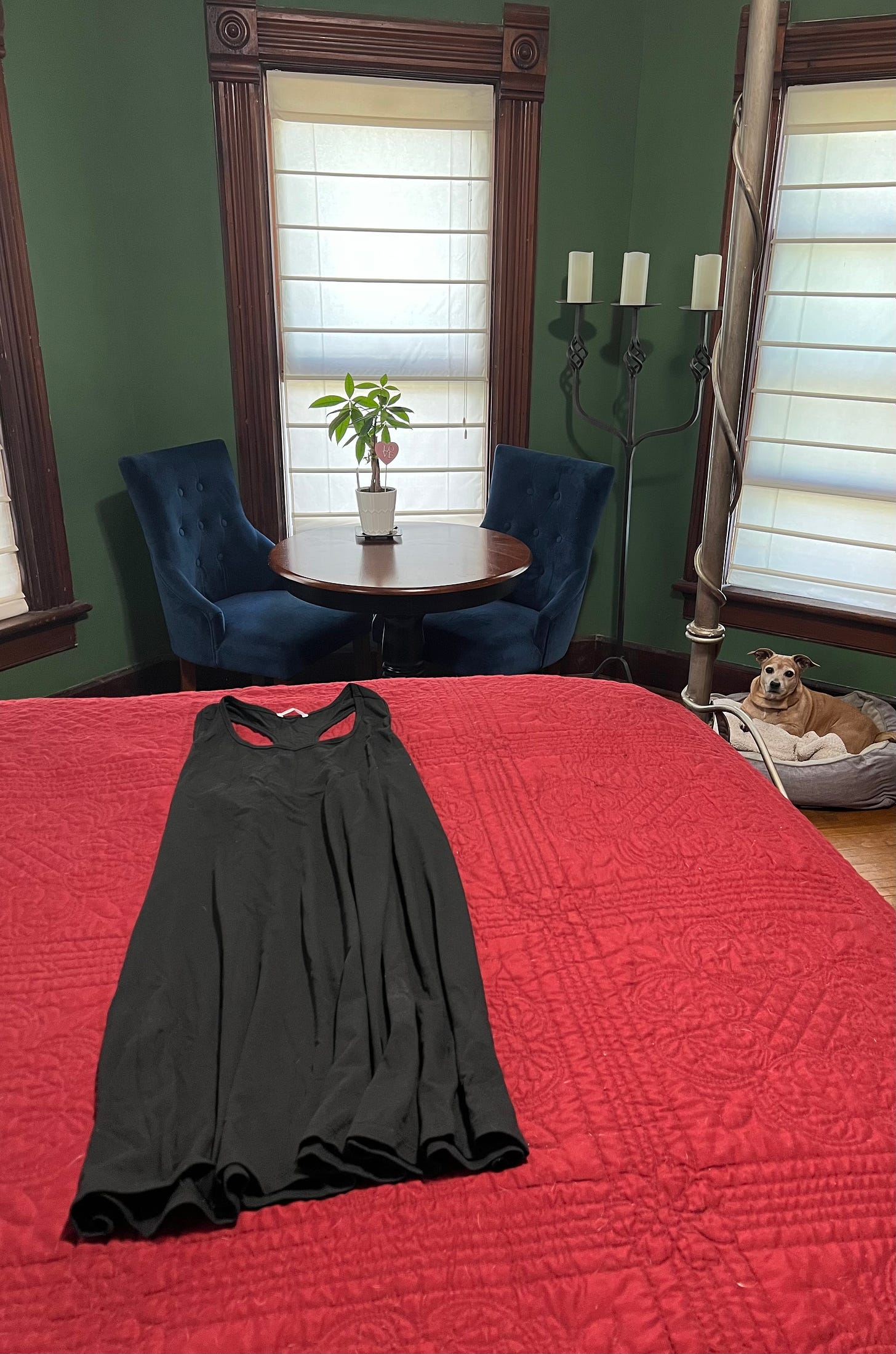 Michelle Teheux's new nightgown, and her dog!