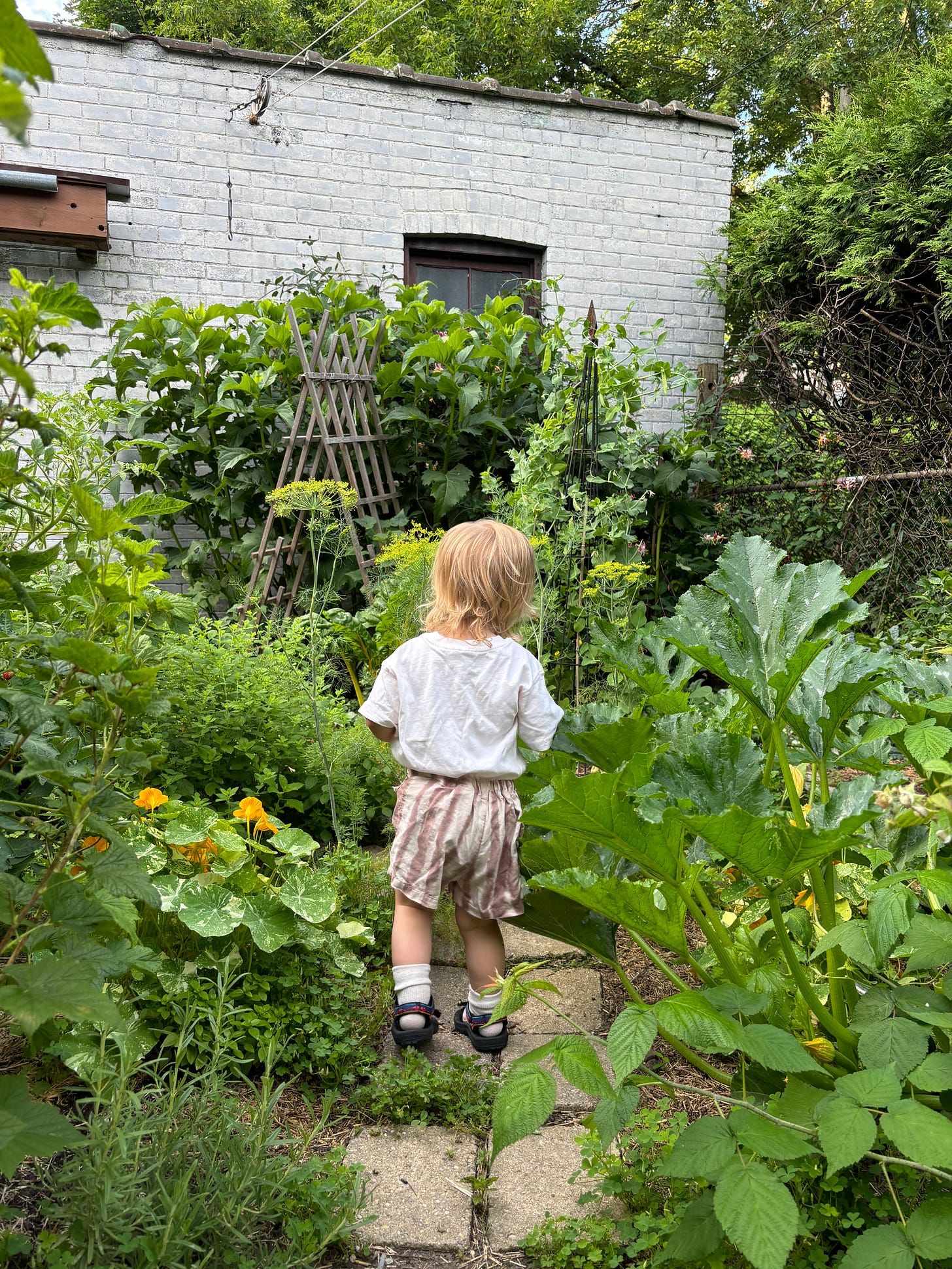 Child walking through a lush green garden with a white building in the background