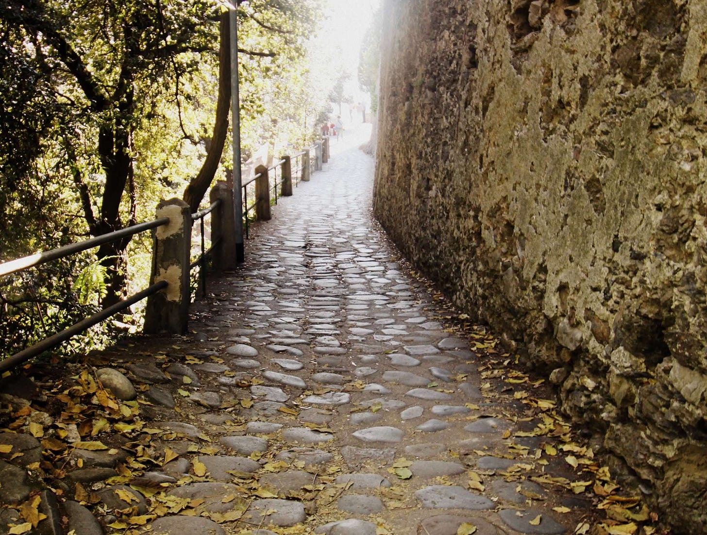 cobblestone path scattered with yellow leaves