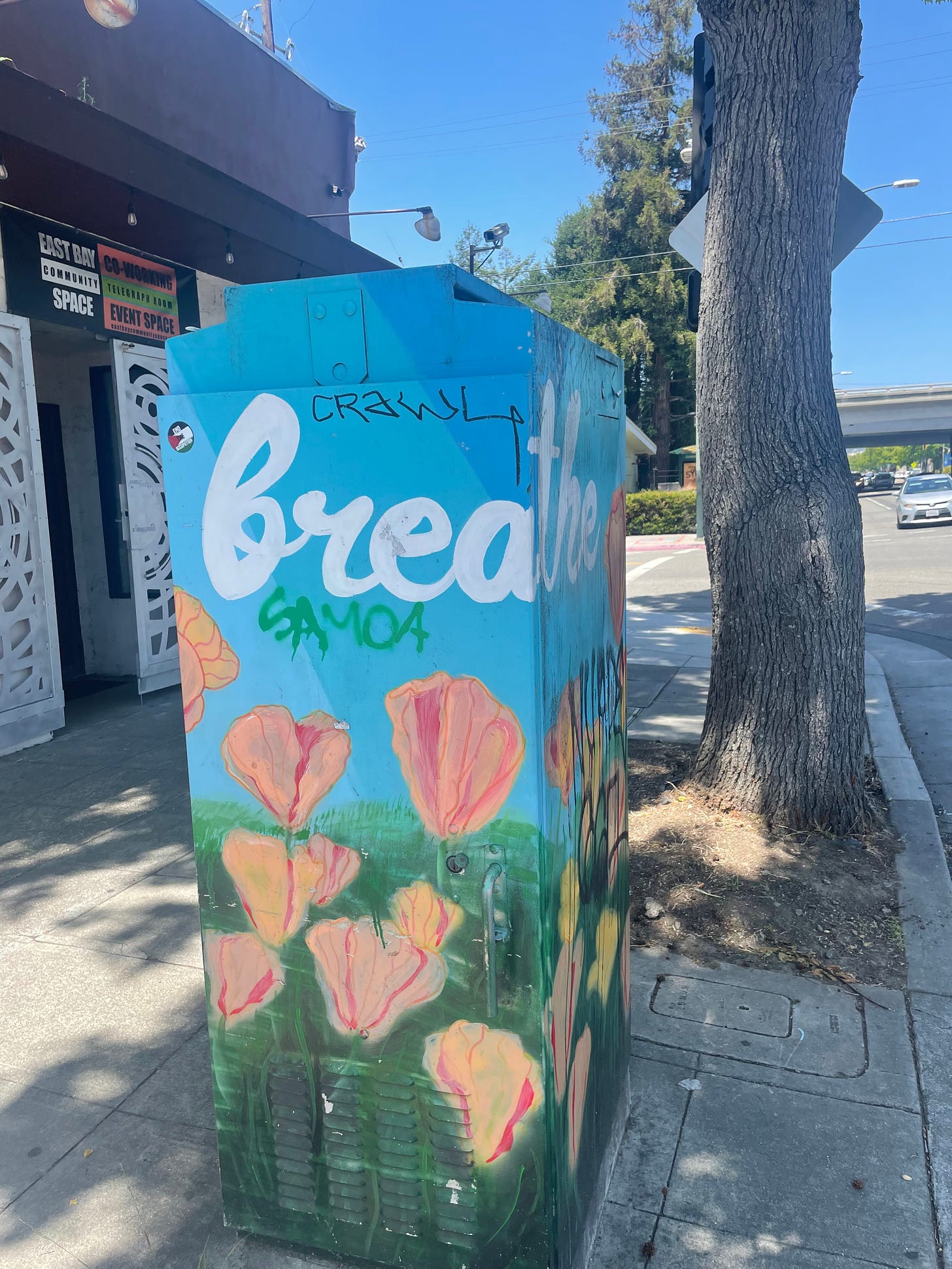image of a bright blue electrical box on an oakland street in front of Arab coffeehouse Jeruselem Coffee, with the words BREATHE and then a tag that reads CRAWL above it.