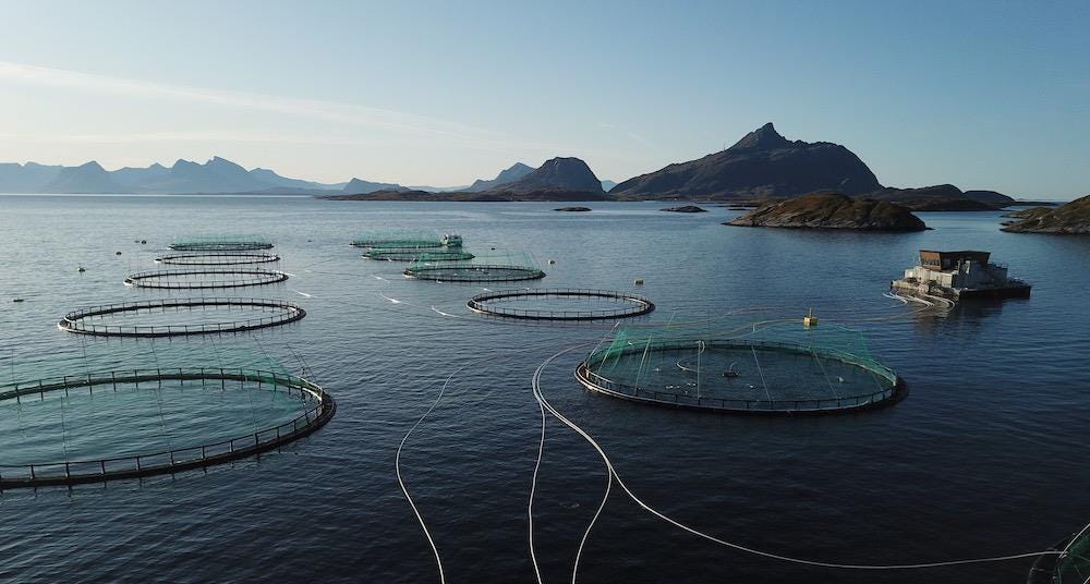 Batteries reduce fish farm's energy costs | News | World Fishing