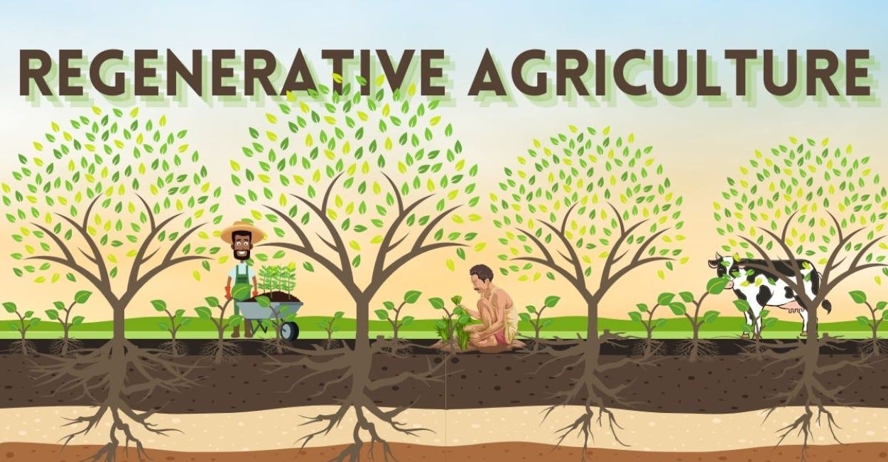 Fighting climate change via 'regenerative agriculture' – International Year  of Basic Sciences for Development