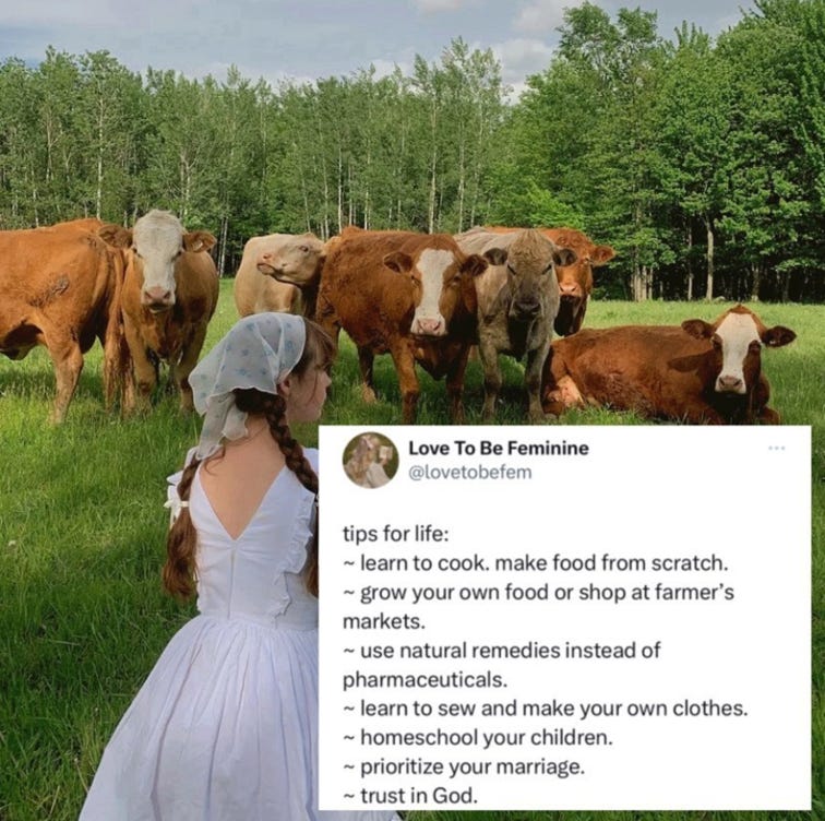 #tradwife