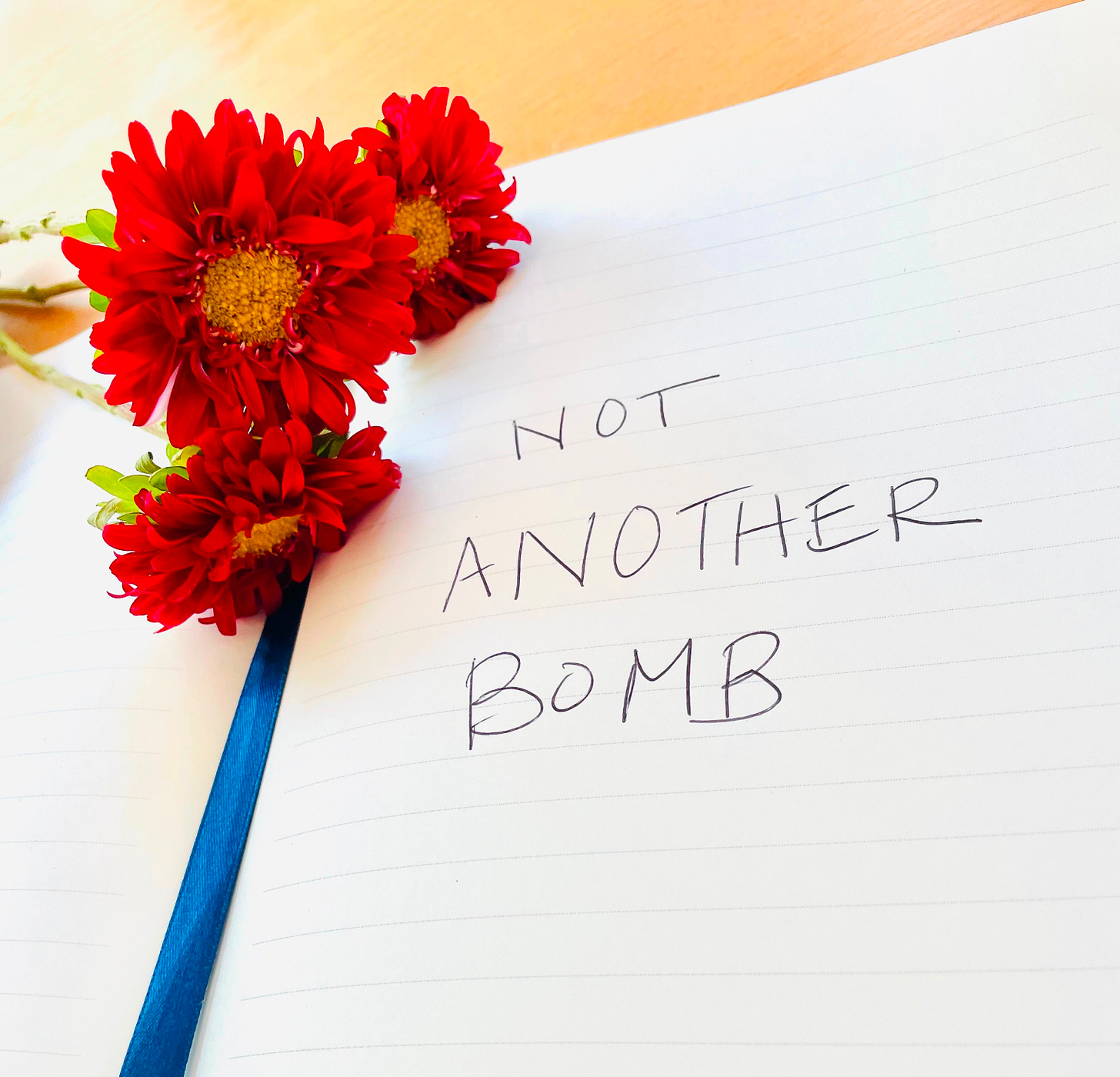 Photo of a notebook where the words "NOT ANOTHER BOMB" are written. Three red flowers with bright yellow centers sit on top of the page.