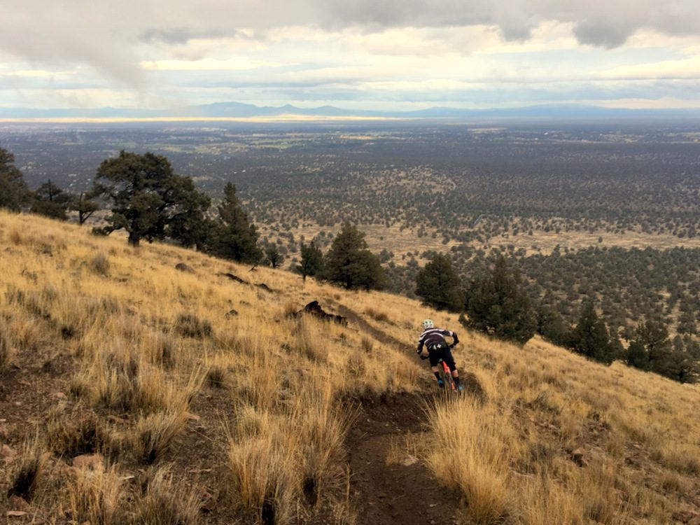 You thought I'd go an entire post without a mountain biking shot? HAAAAA. Here's my buddy Paul enjoying a perfect day on Cline Butte in Central Oregon.