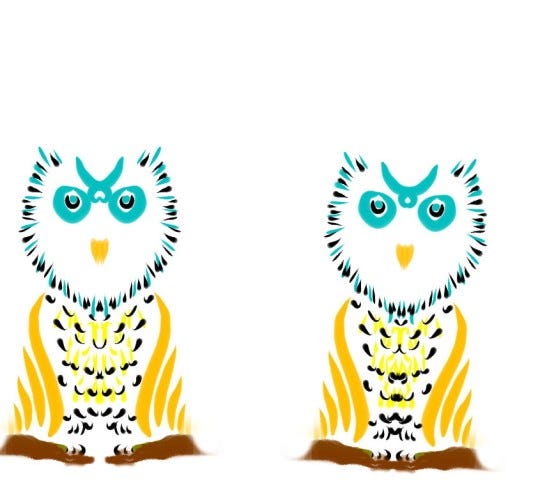 owls