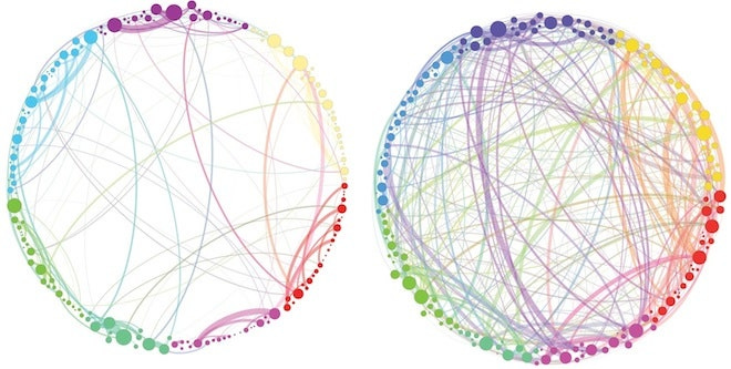 Science Graphic of the Week: How Magic Mushrooms Rearrange Your Brain |  WIRED