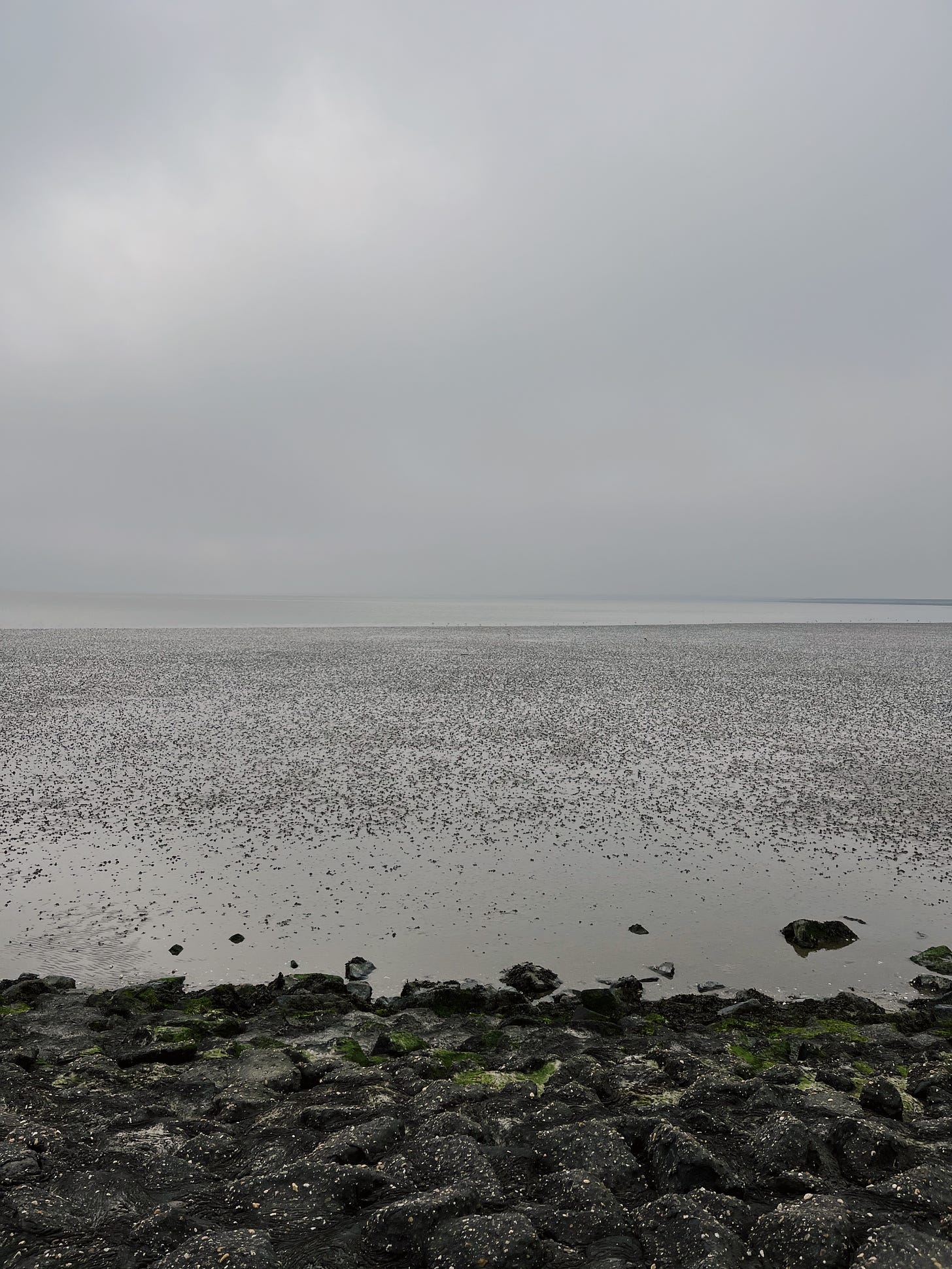 Mar de lodo en Ameland.