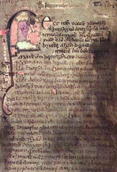 Photo of an excerpt from a medieval Irish manuscript