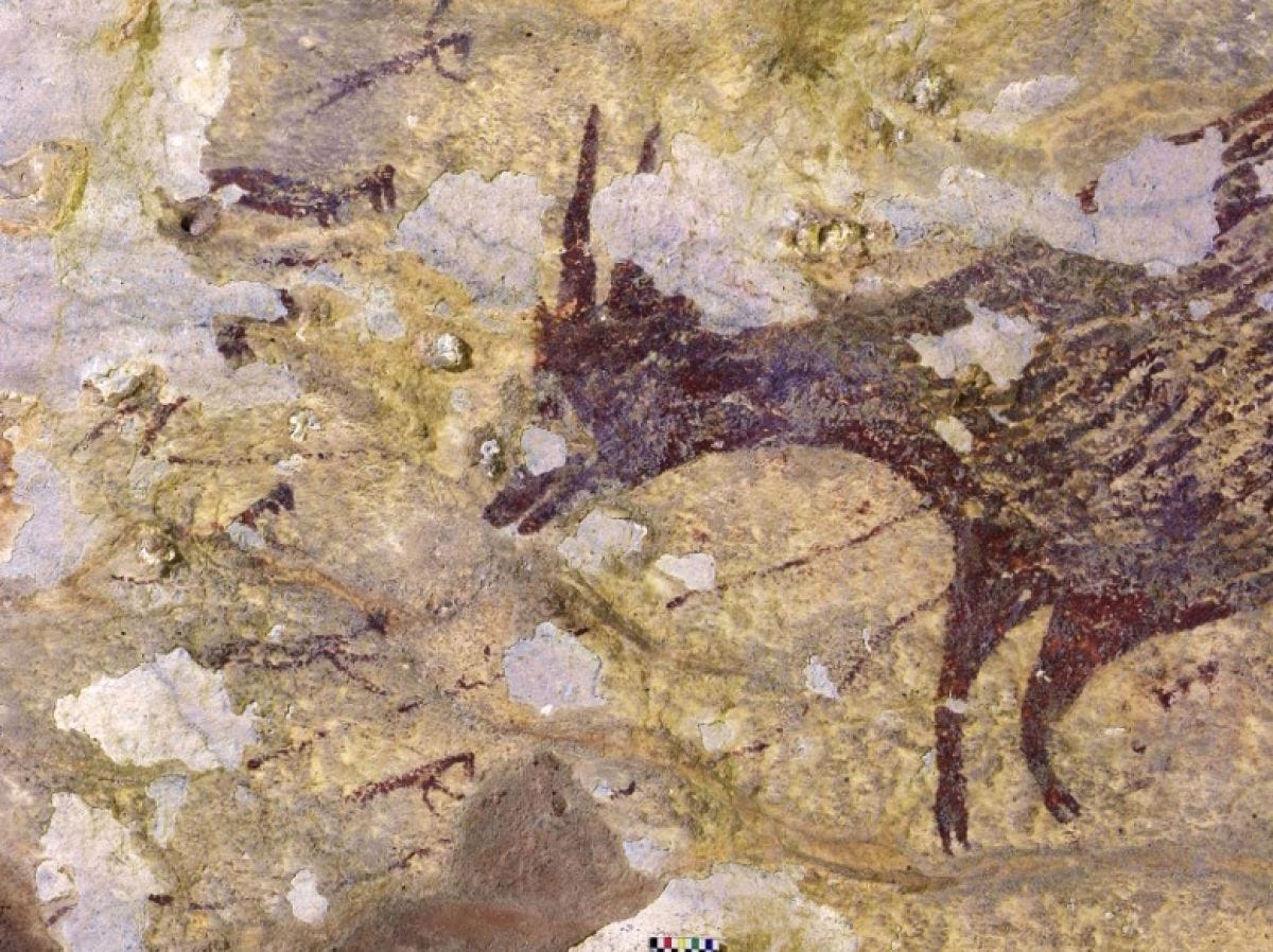 La plus ancienne scène de chasse a 44.000 ans - Sciences et ...