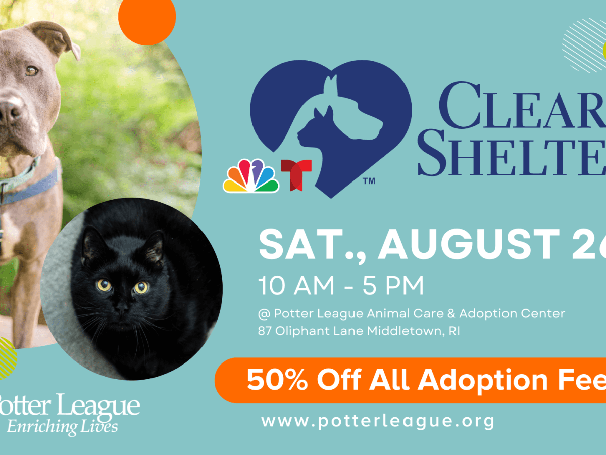 Potter League for Animals to participate in Nationwide Clear The Shelters Pet Adoption Event on Saturday