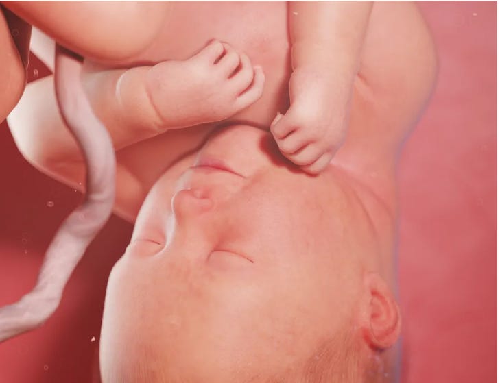 baby in the third trimester: Third-trimester abortion baby in the third trimester: Third-trimester abortion