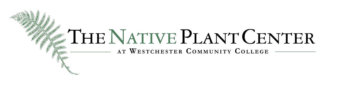 Native Plant Center Logo