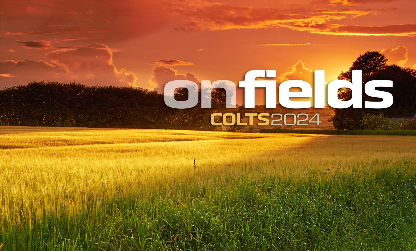 https://colts.org/img/OnFields_FB_Cover.jpg https://colts.org/img/OnFields_FB_Cover.jpg