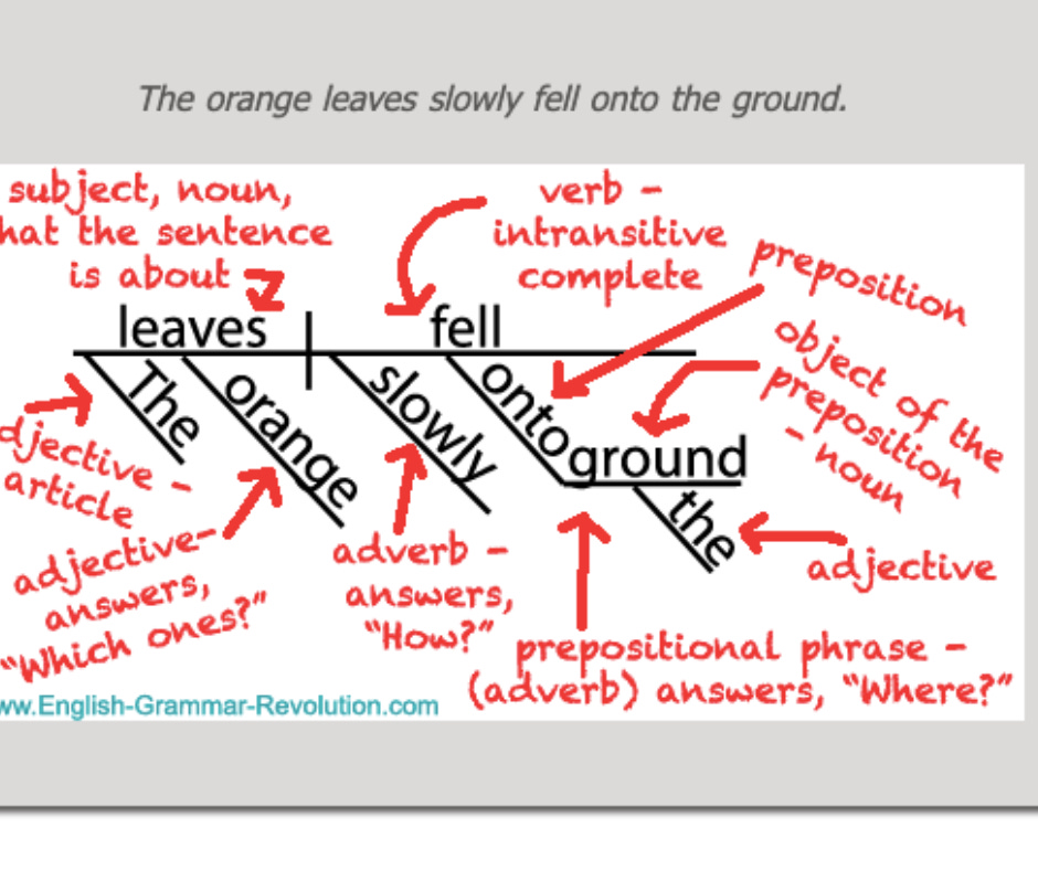 A sentence diagram of "The orange leaves slowly fell onto the ground"