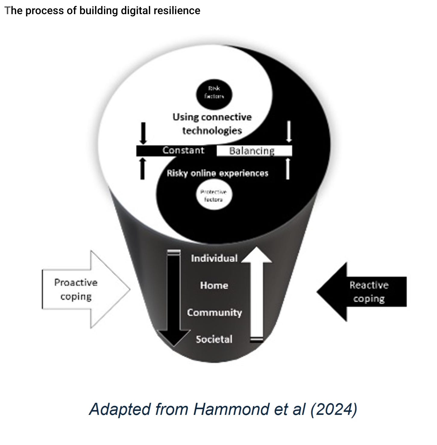 Illustration of ying and yang graphic from Hammond's work