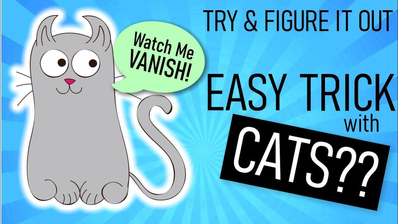 Magic With Cats - Easy Magic Tricks for Beginners to Do at Home to Vanish a  Cat (Cartoon) - YouTube