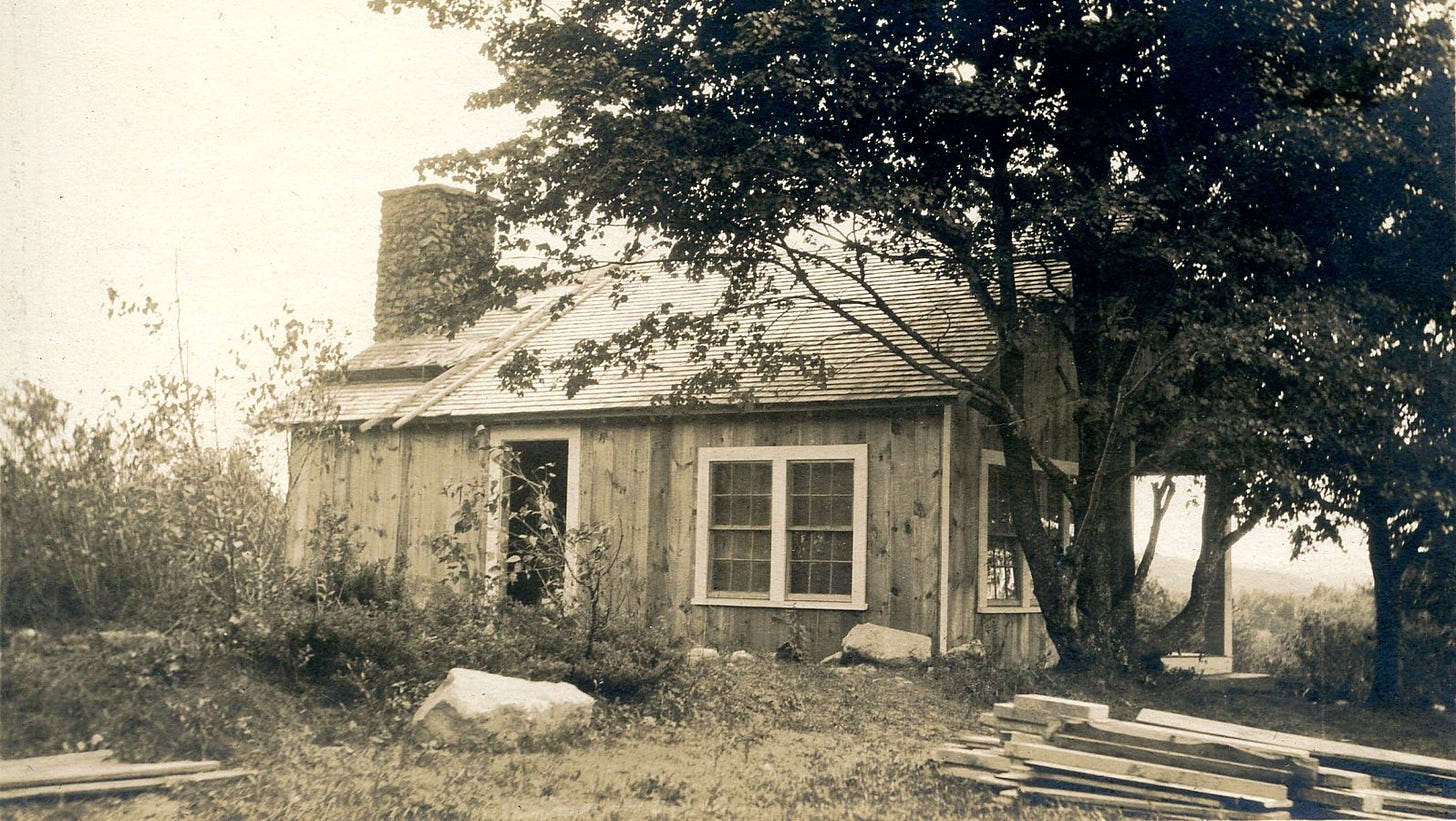 cabin under construction