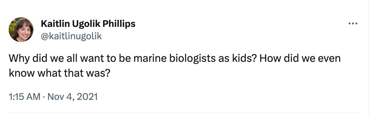 screenshot of tweet with user @kaitlinugolik asking "Why did we all want to be marine biologists as kids? How did we even know what that was?"