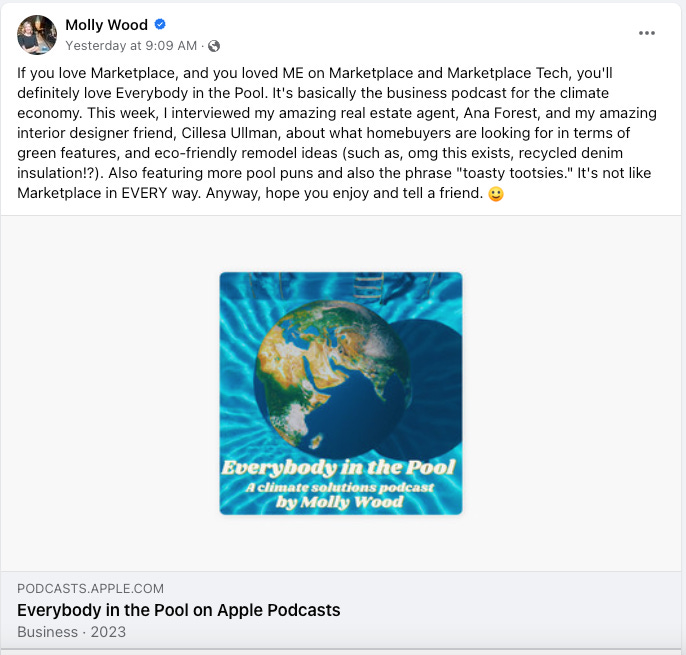 If you love Marketplace, and you loved ME on Marketplace and Marketplace Tech, you'll definitely love Everybody in the Pool. It's basically the business podcast for the climate economy. This week, I interviewed my amazing real estate agent, Ana Forest, and my amazing interior designer friend, Cillesa Ullman, about what homebuyers are looking for in terms of green features, and eco-friendly remodel ideas (such as, omg this exists, recycled denim insulation!?). Also featuring more pool puns and also the phrase "toasty tootsies." It's not like Marketplace in EVERY way. Anyway, hope you enjoy and tell a friend. 🙂 
