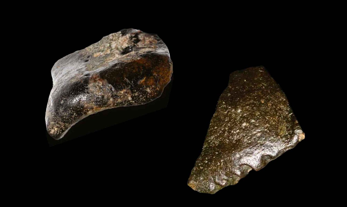 Frontal bone fragment at left and parietal bone fragment at right