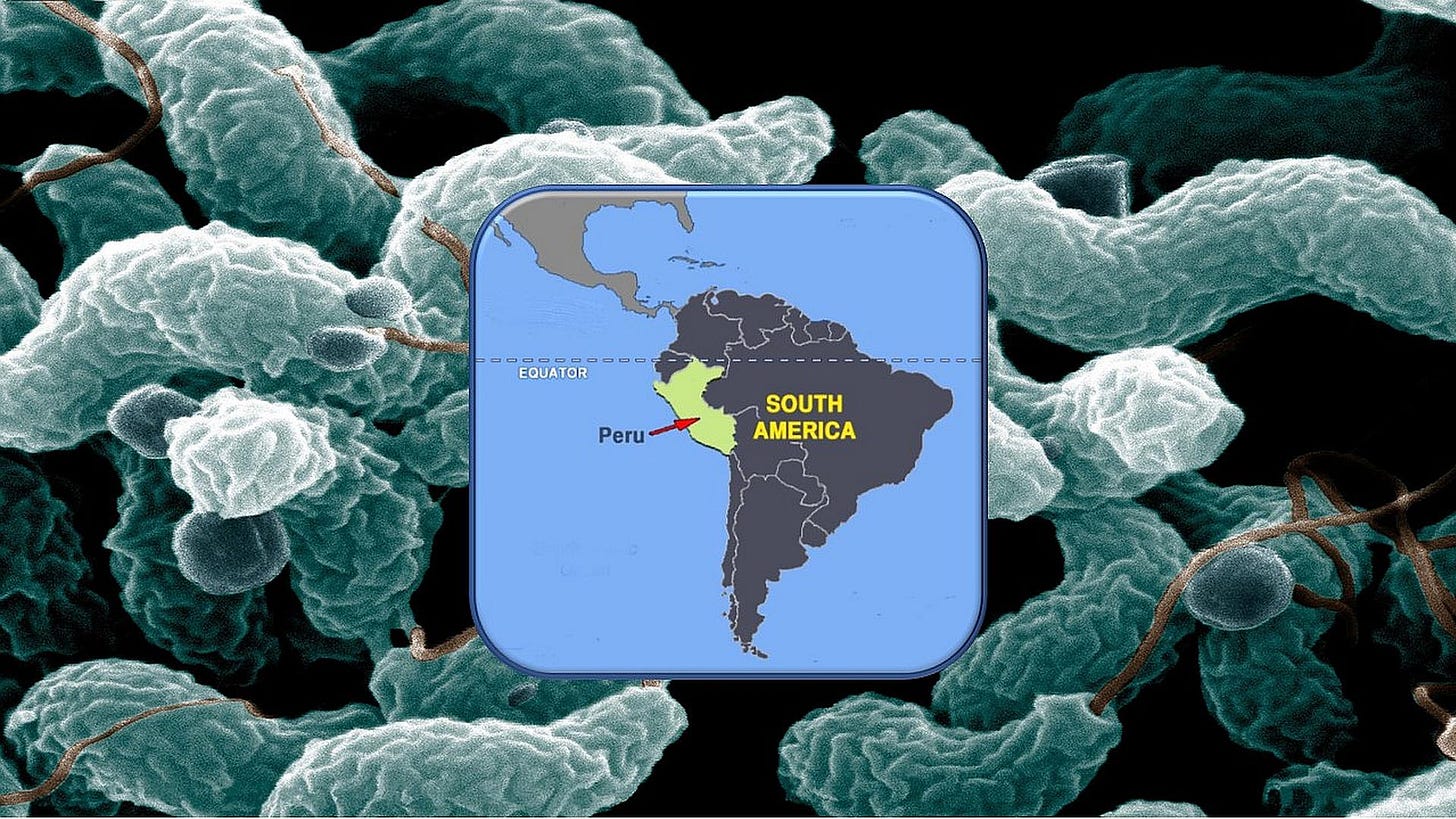 Research Story Tip: Johns Hopkins Medicine Helps Find Cause of Guillain-Barre  Syndrome Outbreak in Peru