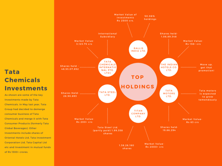 Tata Chemicals - Investments