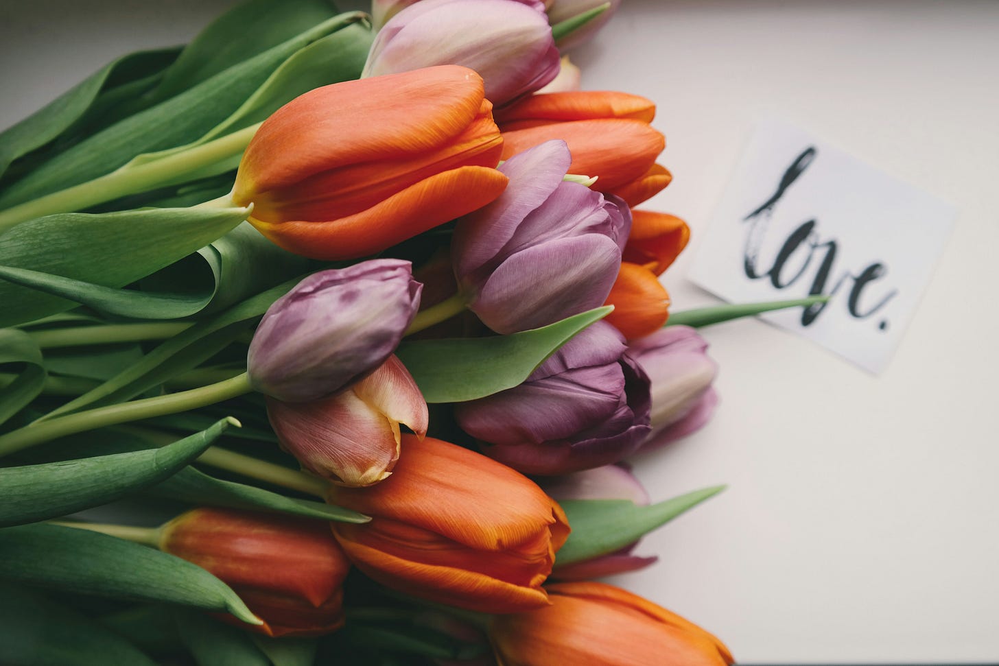 tulips and love tulips and love
