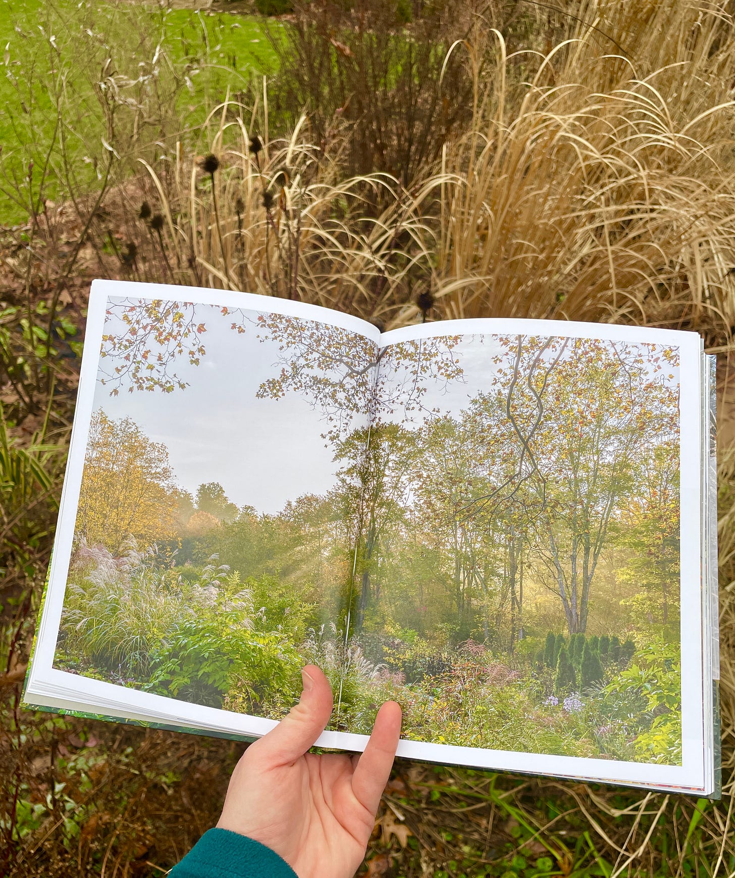 Full page spread of Federal Twist in summer in The View from Federal Twist by James Golden